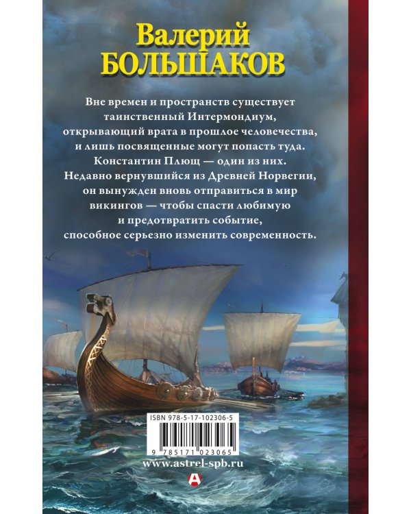 Викинг туманного берега