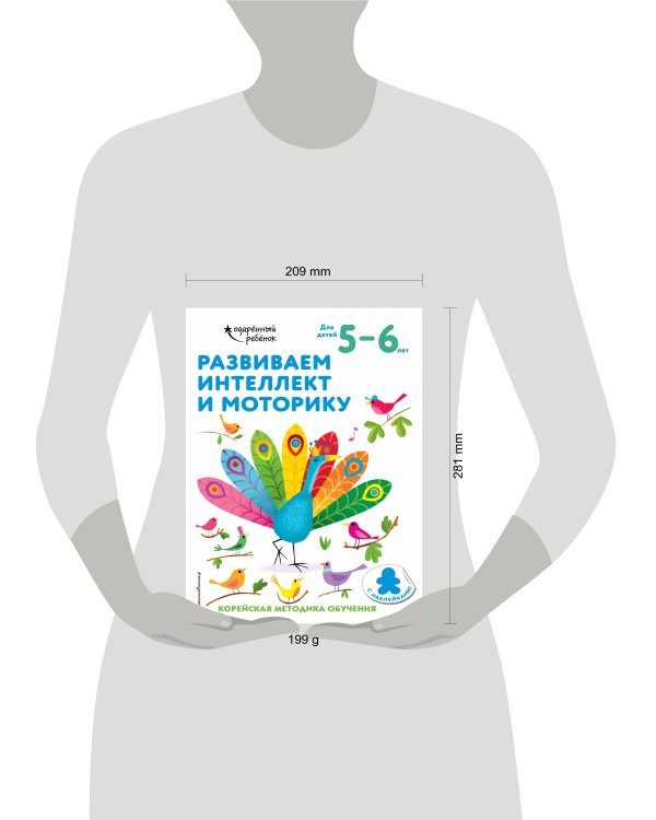 Развиваем интеллект и моторику: для детей 5–6 лет (с наклейками)