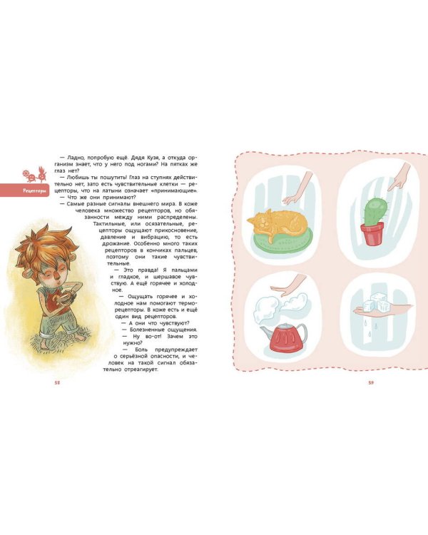 Как устроен человек. Детская энциклопедия (Чевостик) (Paperback)