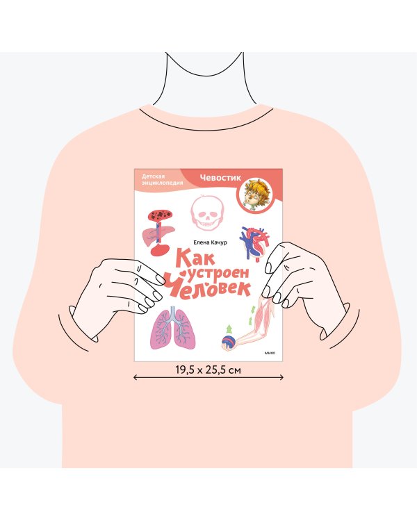 Как устроен человек. Детская энциклопедия (Чевостик) (Paperback)