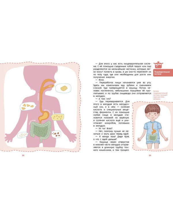 Как устроен человек. Детская энциклопедия (Чевостик) (Paperback)