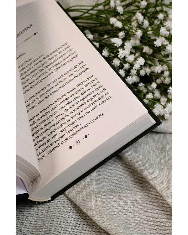 Поцелуй обмана