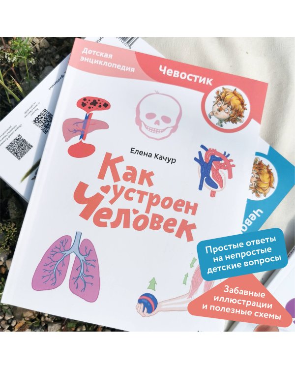 Как устроен человек. Детская энциклопедия (Чевостик) (Paperback)