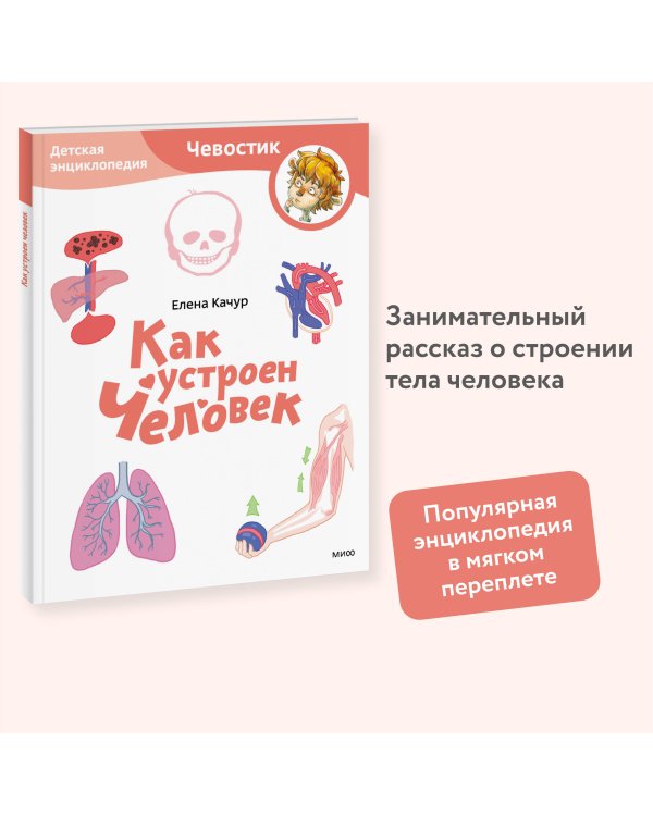 Как устроен человек. Детская энциклопедия (Чевостик) (Paperback)