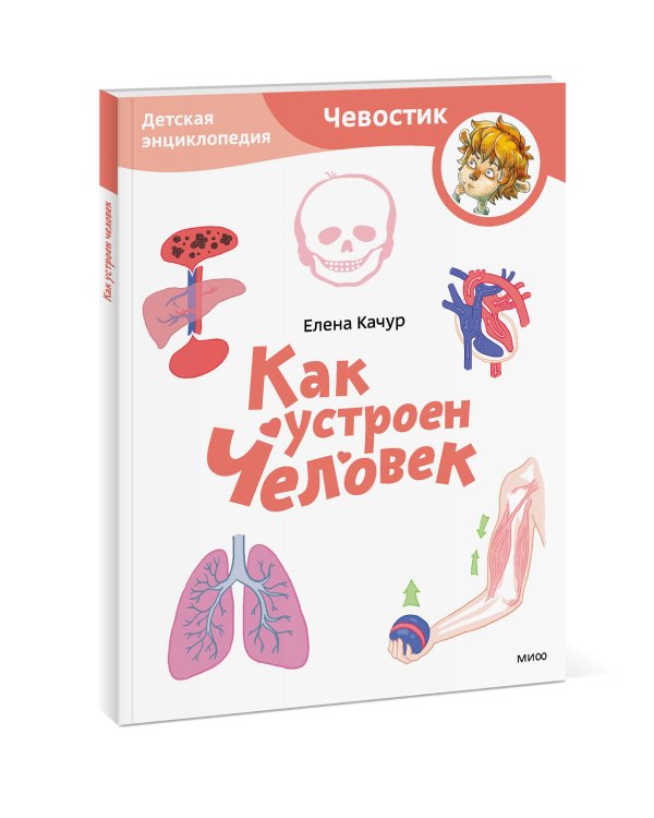 Как устроен человек. Детская энциклопедия (Чевостик) (Paperback)