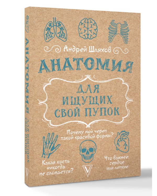 Анатомия для ищущих свой пупок