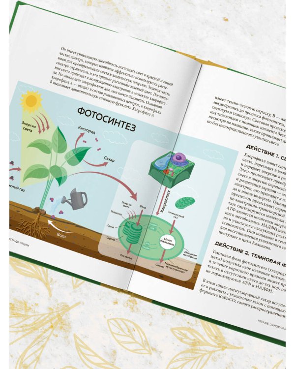 Чай. От листа до чашки. Все, что нужно знать о сортах, заваривании и дегустации тем, для кого чай не просто напиток