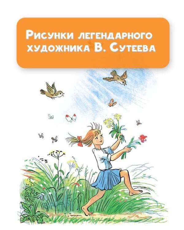 Любимые стихи и сказки в картинках В. Сутеева