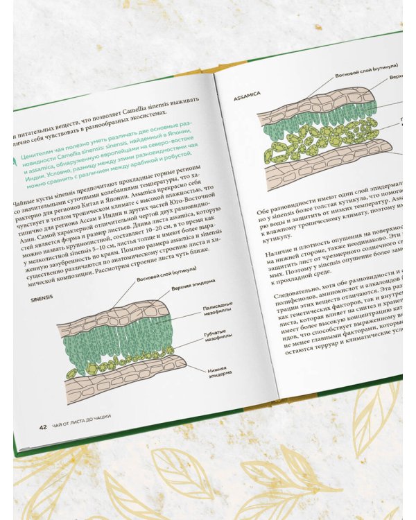 Чай. От листа до чашки. Все, что нужно знать о сортах, заваривании и дегустации тем, для кого чай не просто напиток