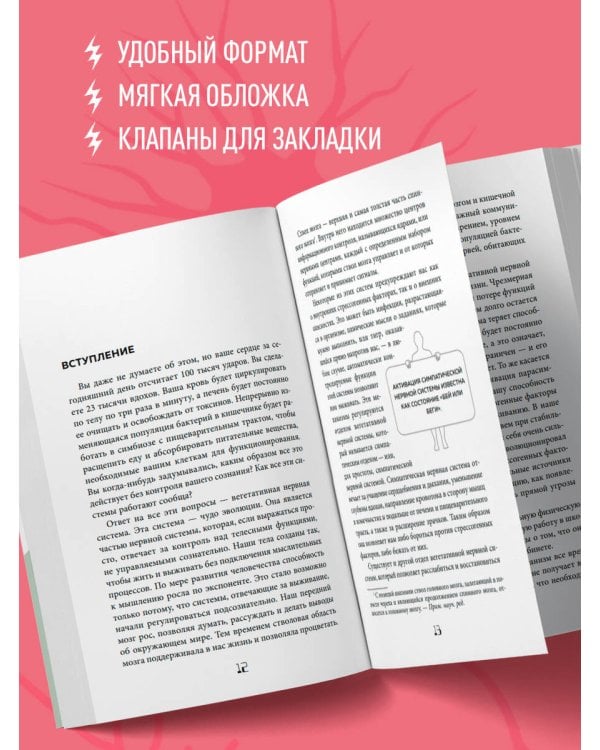 Блуждающий нерв. Что это такое и за что отвечает?