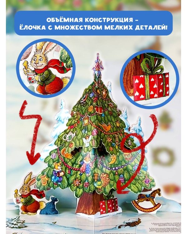 Адвент-календарь. Новогодняя ботаника: прогулка по зимнему лесу