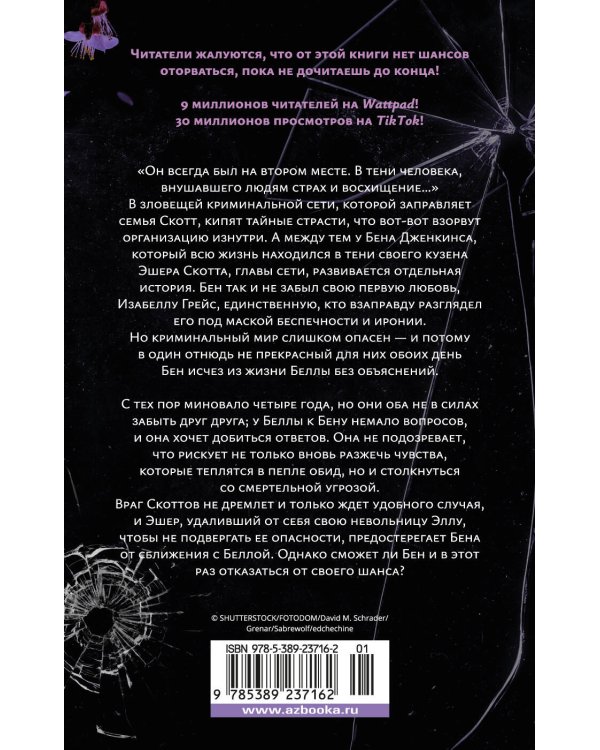 Невольница. Книга 1,5. Мы не можем (не) быть вместе