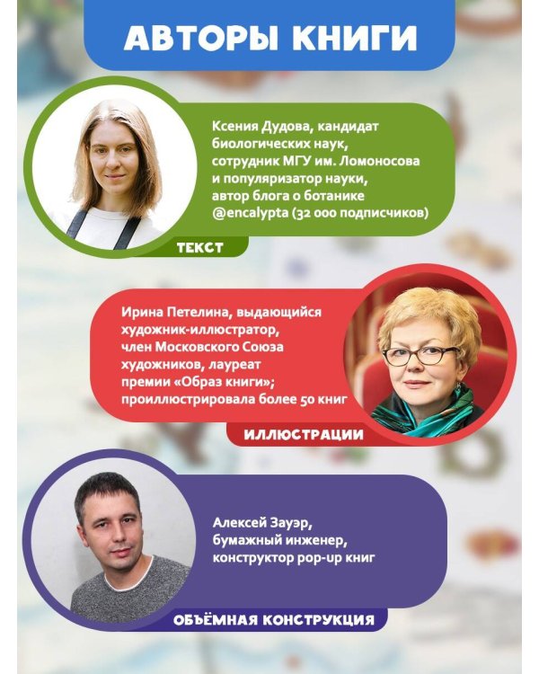 Адвент-календарь. Новогодняя ботаника: прогулка по зимнему лесу