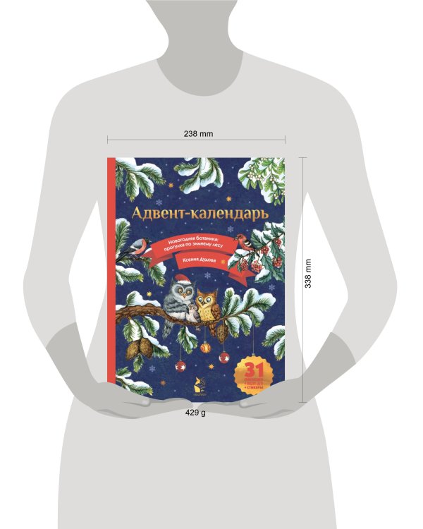 Адвент-календарь. Новогодняя ботаника: прогулка по зимнему лесу