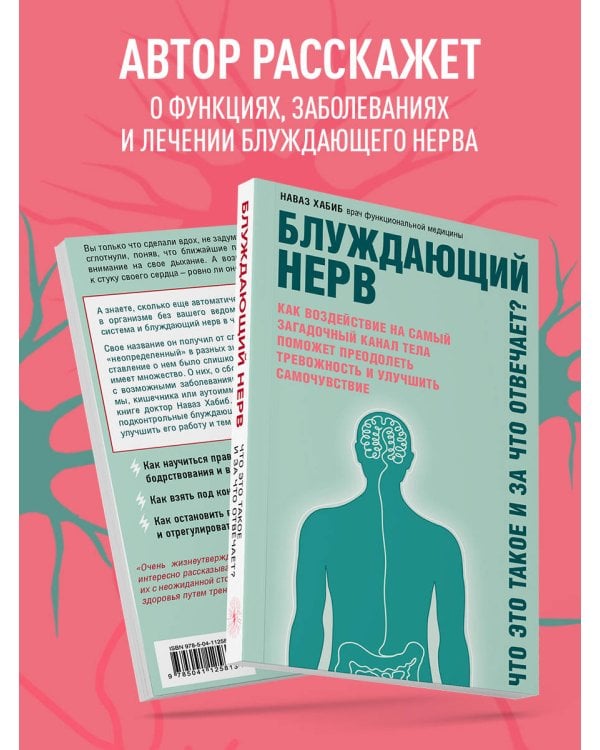 Блуждающий нерв. Что это такое и за что отвечает?