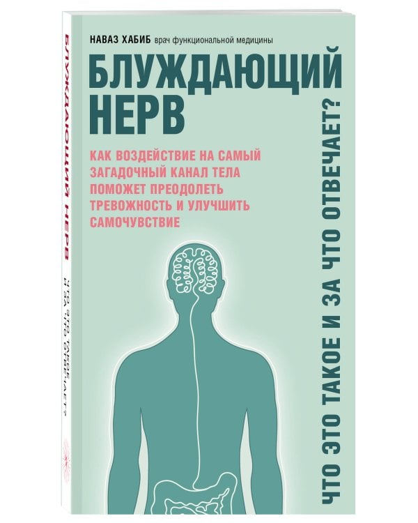 Блуждающий нерв. Что это такое и за что отвечает?
