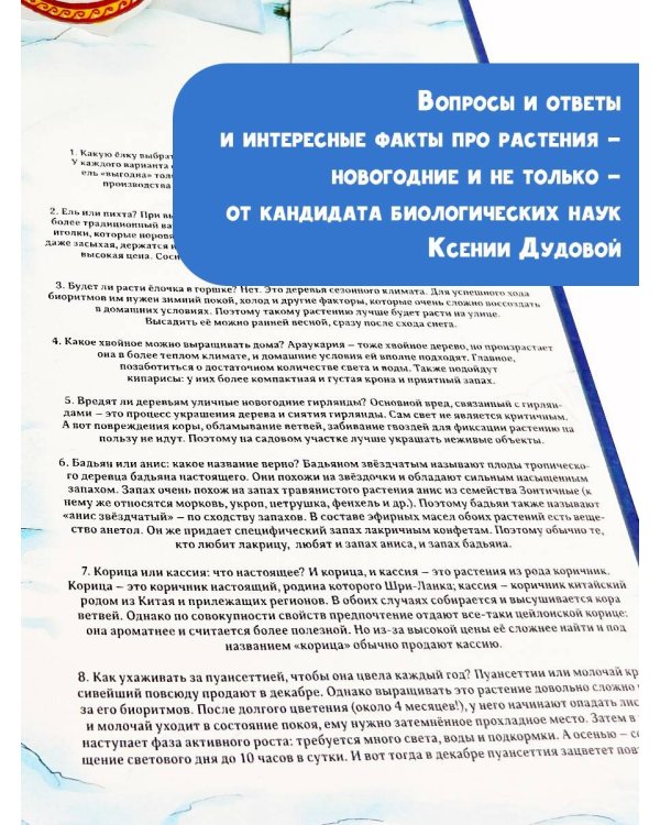 Адвент-календарь. Новогодняя ботаника: прогулка по зимнему лесу