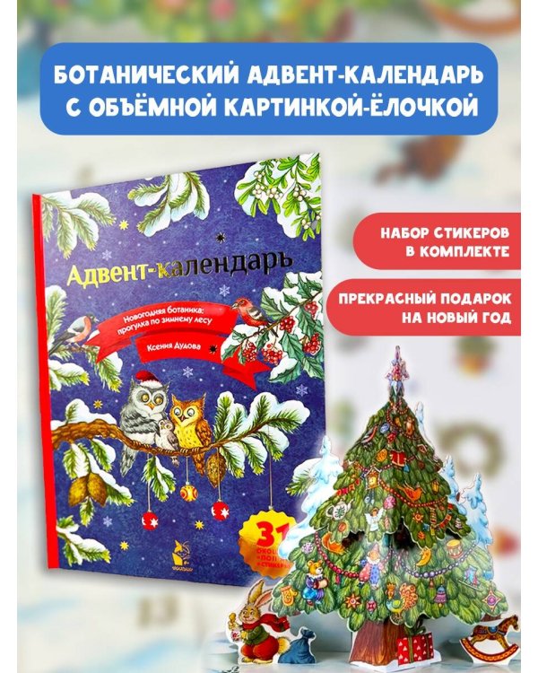 Адвент-календарь. Новогодняя ботаника: прогулка по зимнему лесу