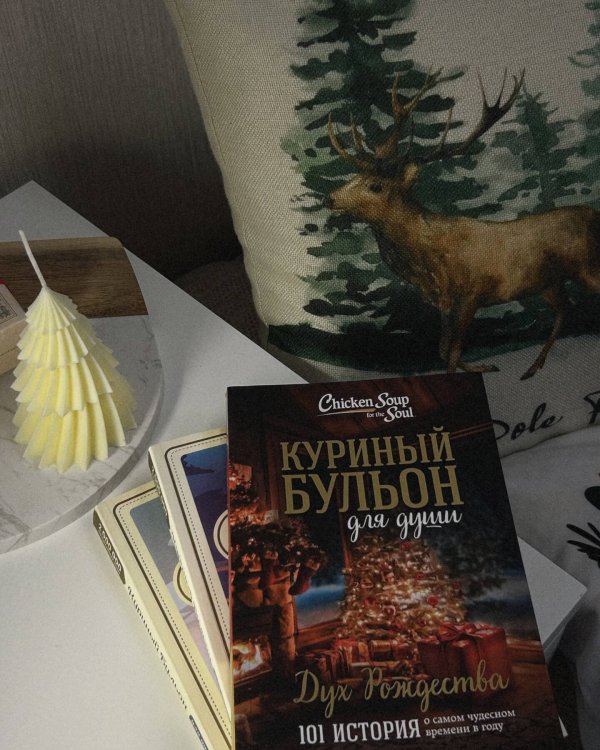 Куриный бульон для души: Дух Рождества. 101 история о самом чудесном времени в году (новое оформление)