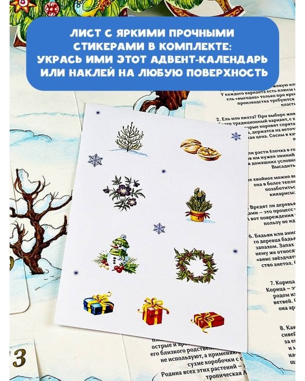 Адвент-календарь. Новогодняя ботаника: прогулка по зимнему лесу
