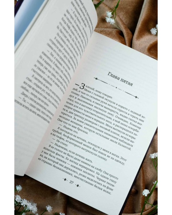 Сердце предательства