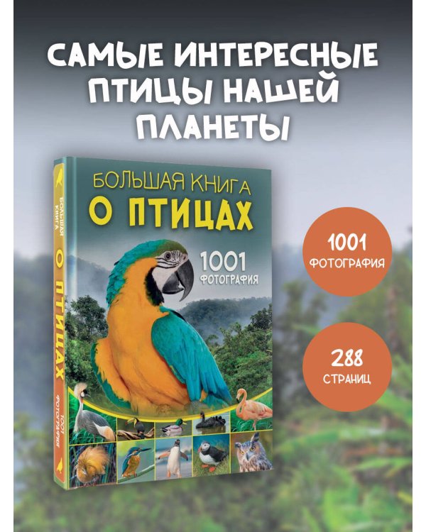 Большая книга о птицах. 1001 фотография