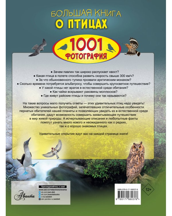Большая книга о птицах. 1001 фотография