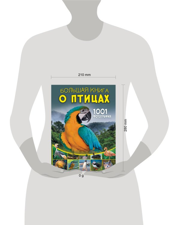Большая книга о птицах. 1001 фотография