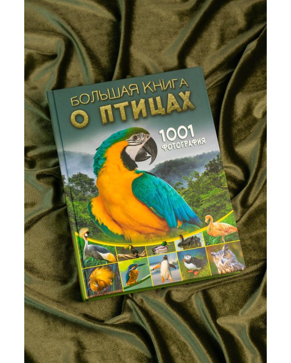 Большая книга о птицах. 1001 фотография