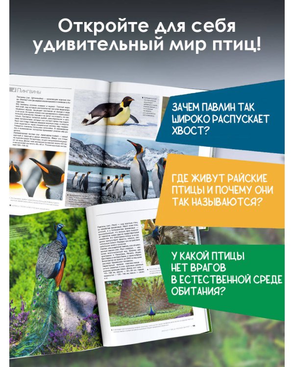 Большая книга о птицах. 1001 фотография