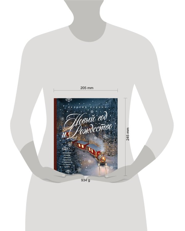 Новый год и Рождество. Волшебная история зимнего праздника от древности до наших времён