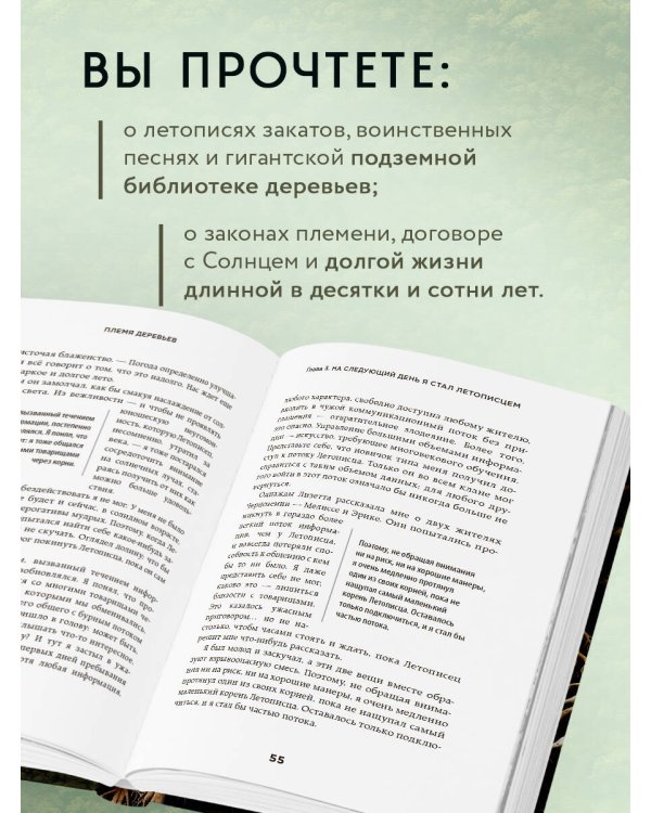 Племя деревьев. О чем говорят корни и кроны