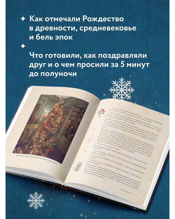 Новый год и Рождество. Волшебная история зимнего праздника от древности до наших времён