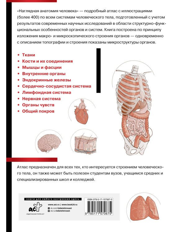 Наглядная анатомия человека. Подробный атлас с иллюстрациями