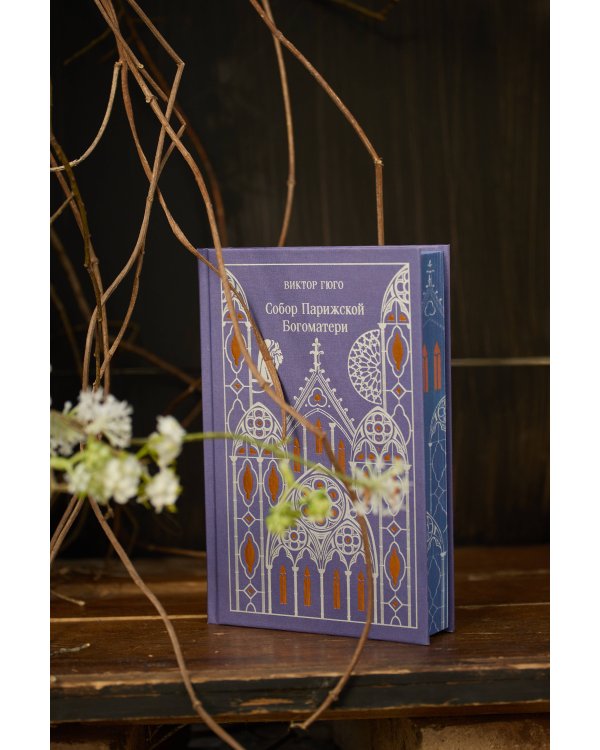 Собор Парижской Богоматери. Подарочное издание