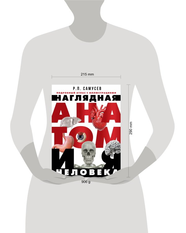 Наглядная анатомия человека. Подробный атлас с иллюстрациями