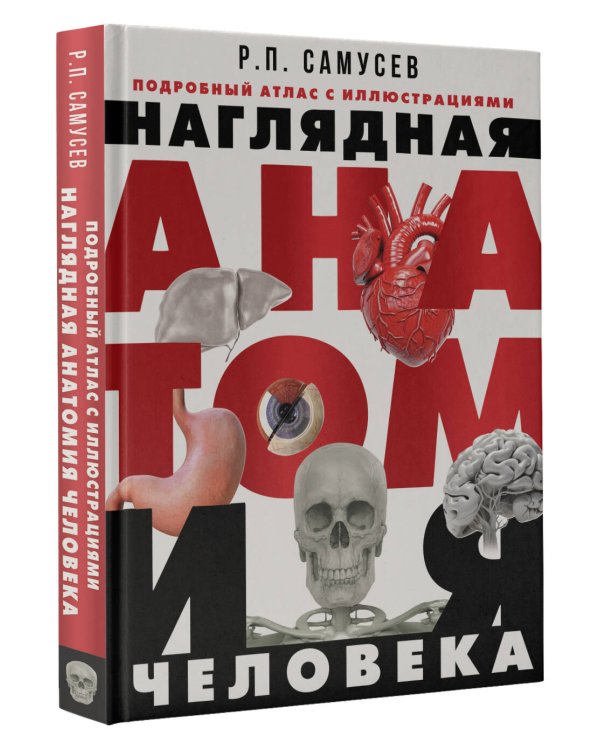 Наглядная анатомия человека. Подробный атлас с иллюстрациями
