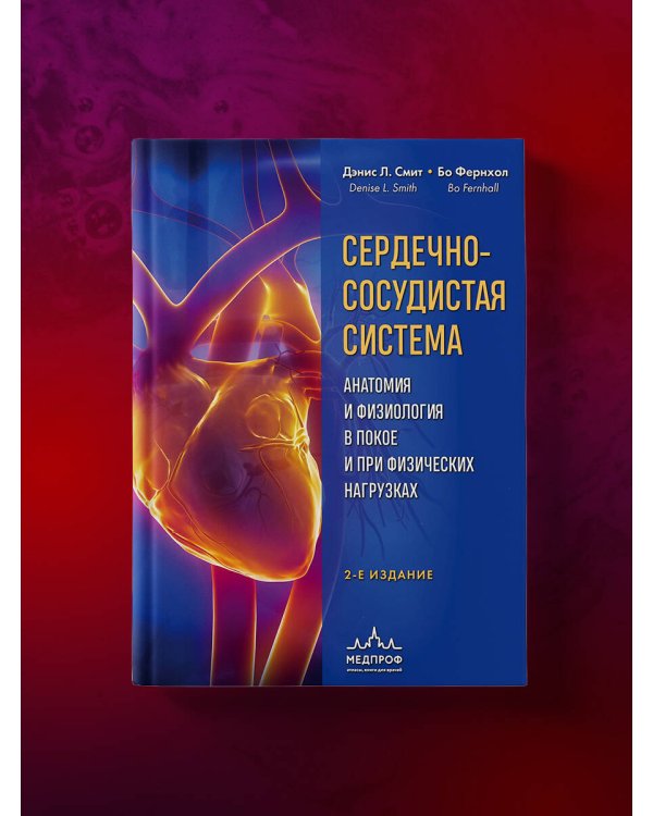Сердечно-сосудистая система. Анатомия и физиология в покое и при физических нагрузках