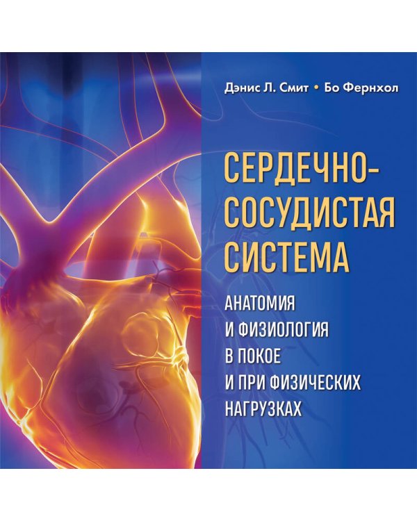 Сердечно-сосудистая система. Анатомия и физиология в покое и при физических нагрузках