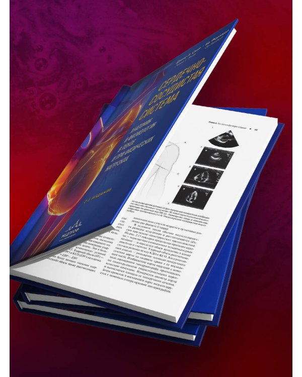 Сердечно-сосудистая система. Анатомия и физиология в покое и при физических нагрузках