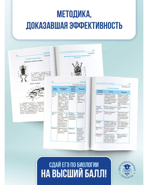 ЕГЭ. Биология в инфографике