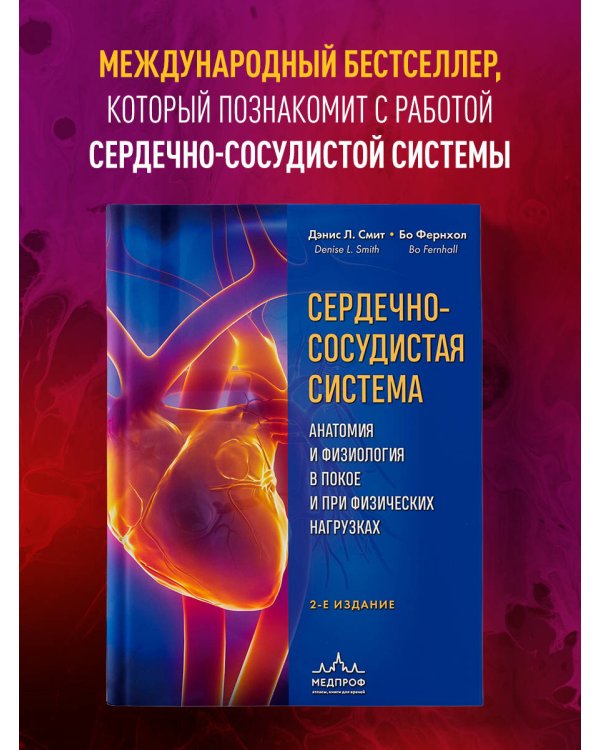 Сердечно-сосудистая система. Анатомия и физиология в покое и при физических нагрузках