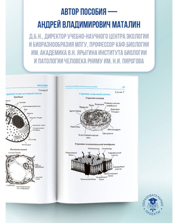 ЕГЭ. Биология в инфографике