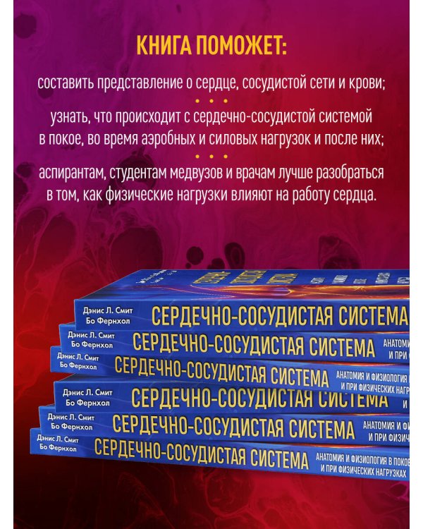 Сердечно-сосудистая система. Анатомия и физиология в покое и при физических нагрузках