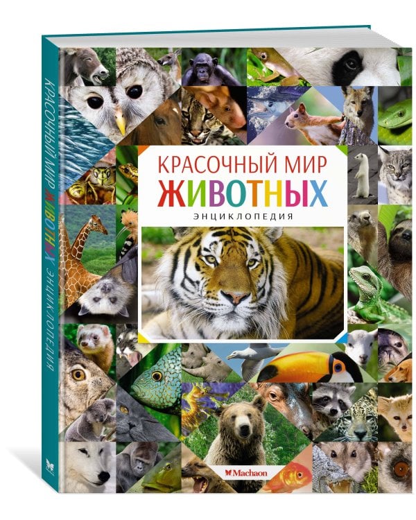Красочный мир животных
