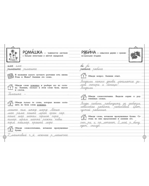 Пишем красиво и грамотно. 3 класс