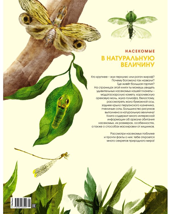 Насекомые в натуральную величину