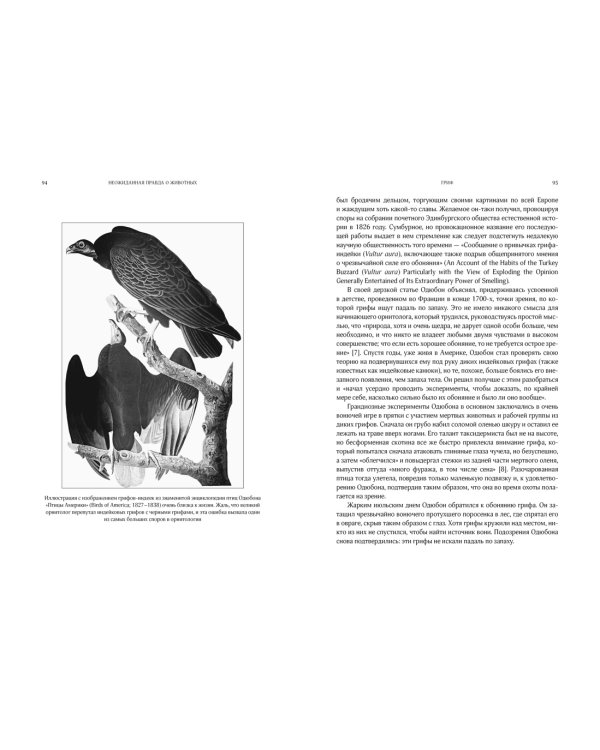 Неожиданная правда о животных: Муравей-тунеядец, влюбленный бегемот, феминистка гиена и другие дикие истории из дикой природы