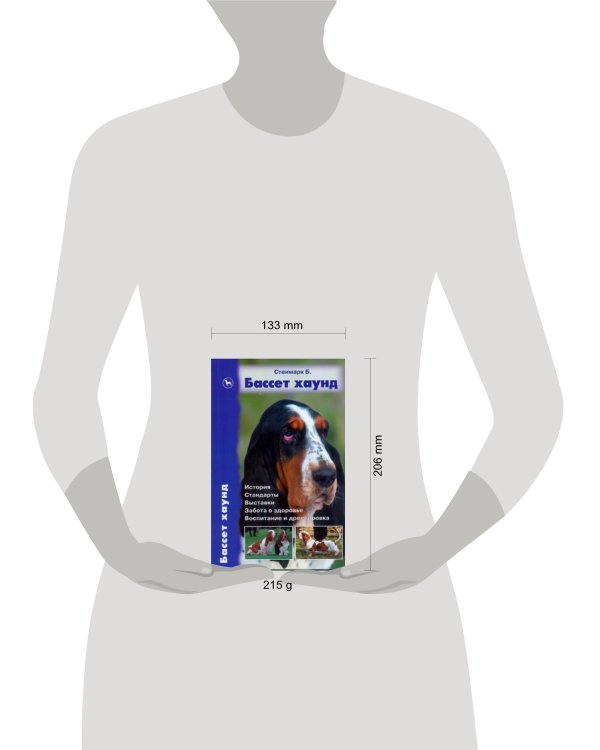 Бассет хаунд