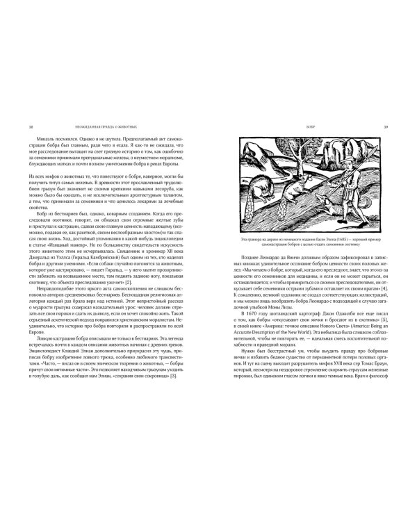 Неожиданная правда о животных: Муравей-тунеядец, влюбленный бегемот, феминистка гиена и другие дикие истории из дикой природы